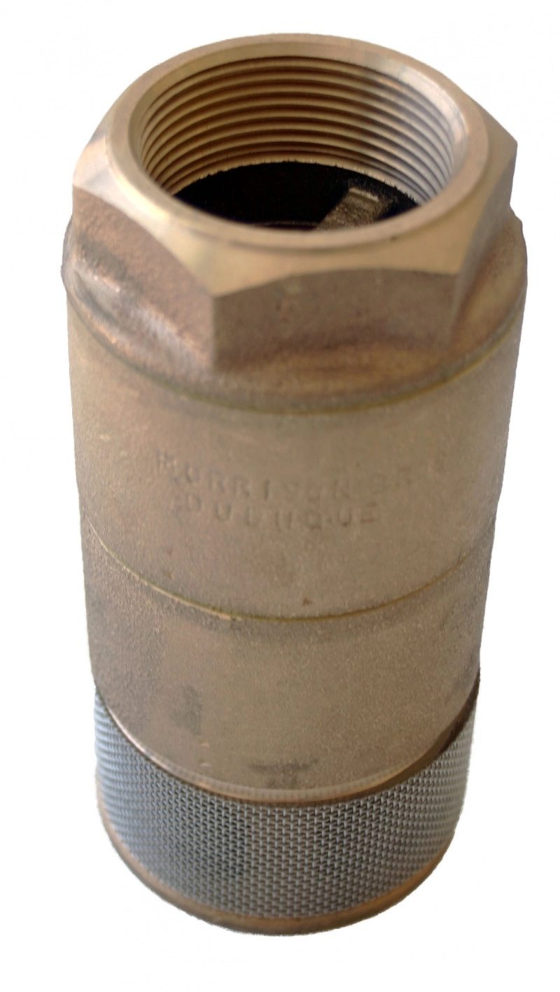 Double Poppet Foot Valve - 2 in.